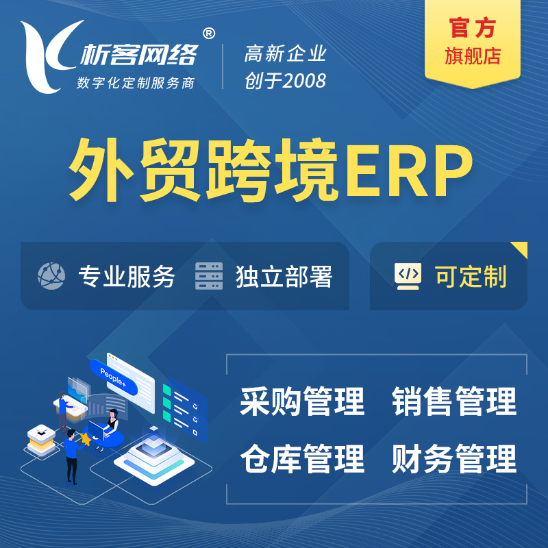 儋州外贸跨境ERP软件生产海外仓ERP管理系统