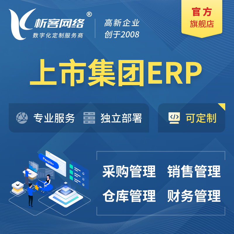 儋州上市集团ERP软件生产MES车间管理系统