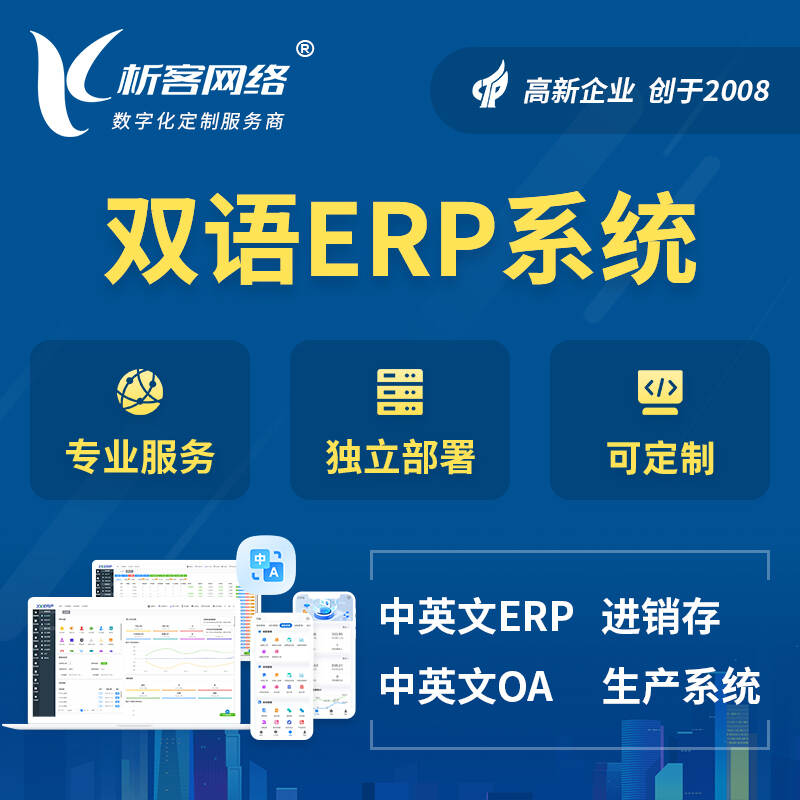 儋州双语ERP系统